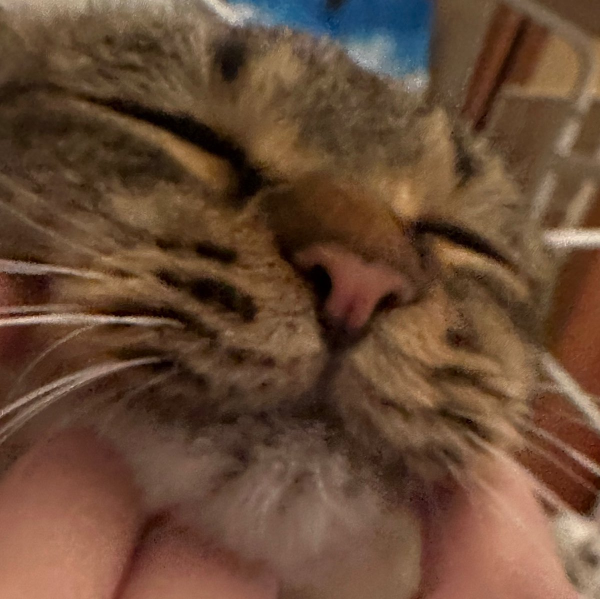 존귀존귀존귀야
턱 쓰다듬으면 멜팅 해삼이 되...