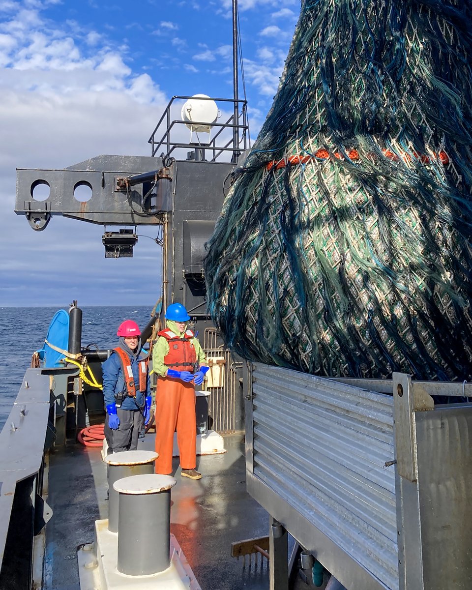 📣Funding Opportunity📣Our Science Center &amp; <a href="/ASMFC/">ASMFC</a> seek a science-industry team to conduct a pilot regional industry-based bottom trawl survey (RIBTS): asmfc.org/resources/pilo…