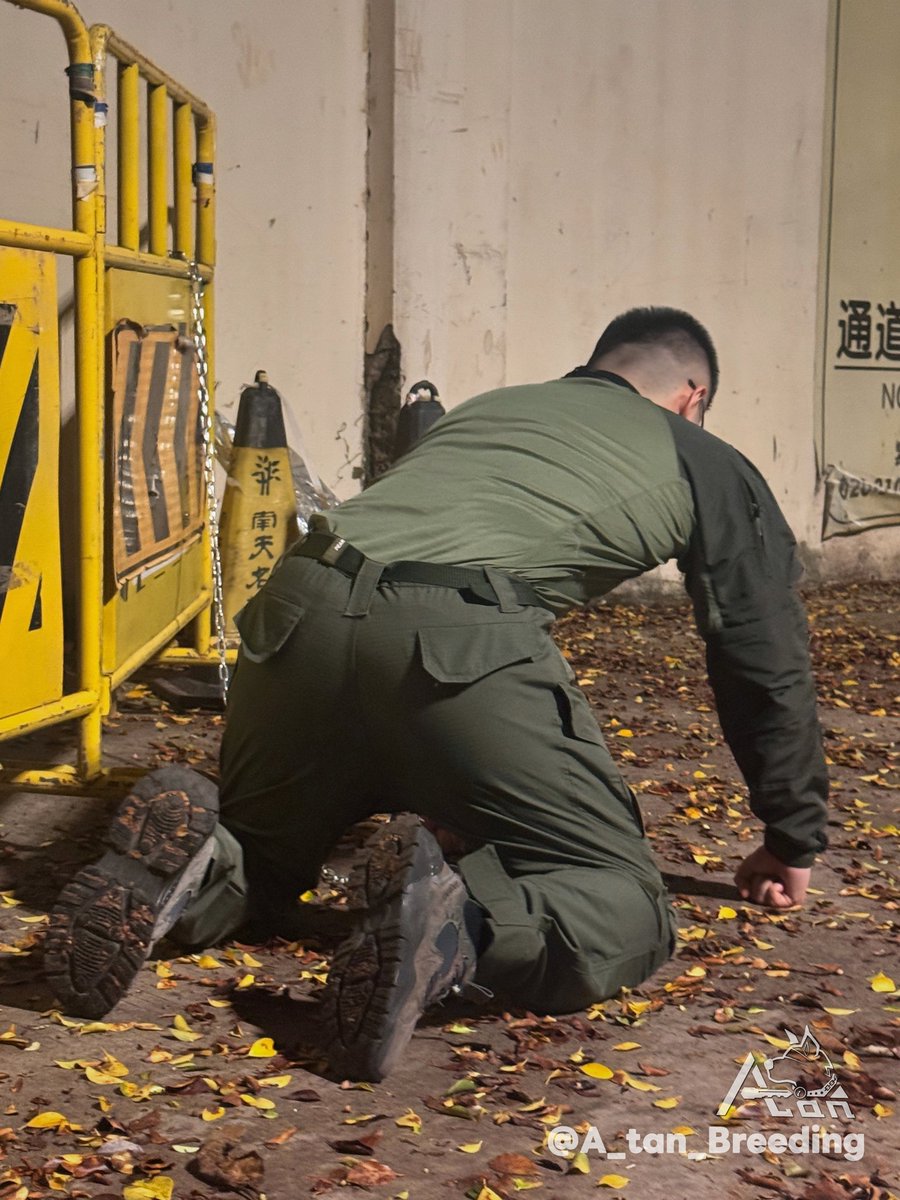 废物狗屌终于有了用途
那就是给主人牵着溜狗玩🐶