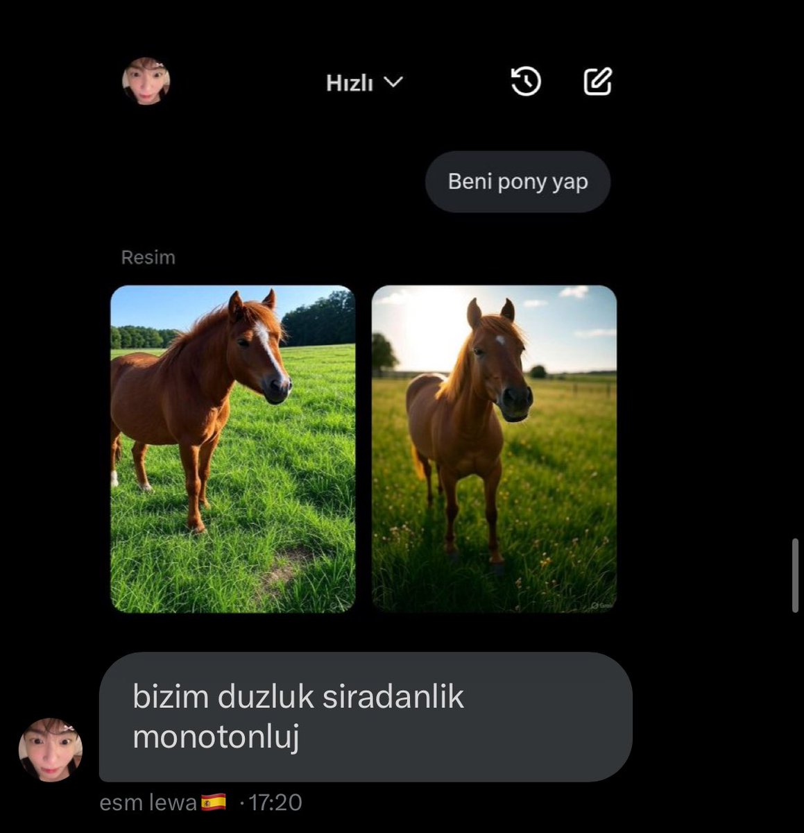 beni pony yap