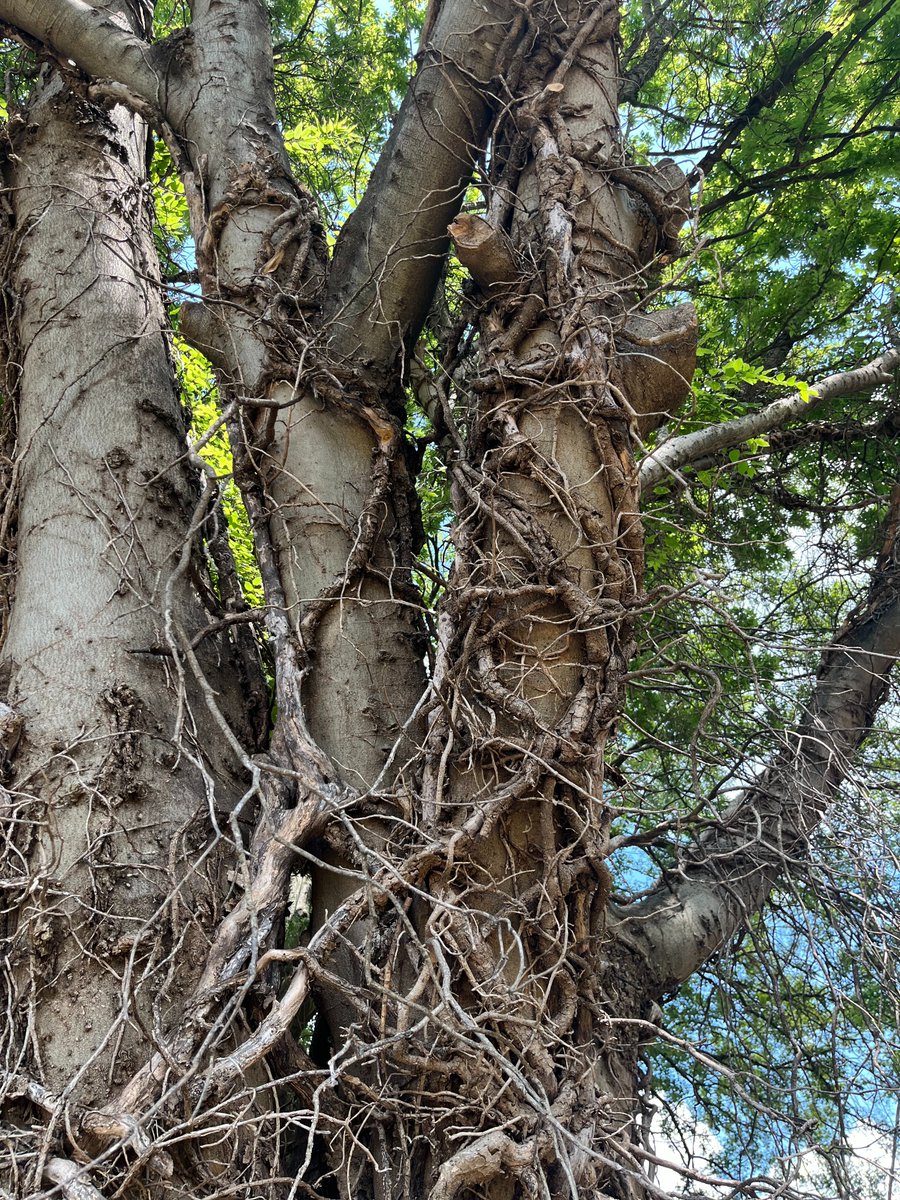 GriffEyePhotography tweet media