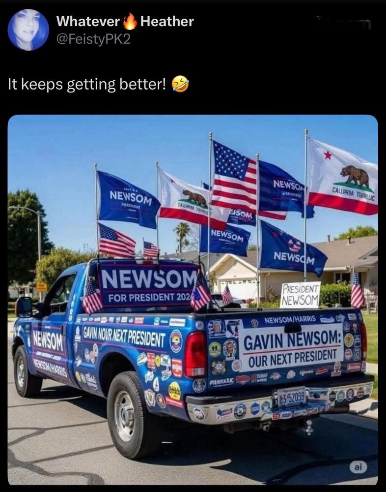 ™22³2the_a35c 🇧🇷™D-🇧🇷♥️ 🌊⚖️ (@ivoteblue2024) on Twitter photo 