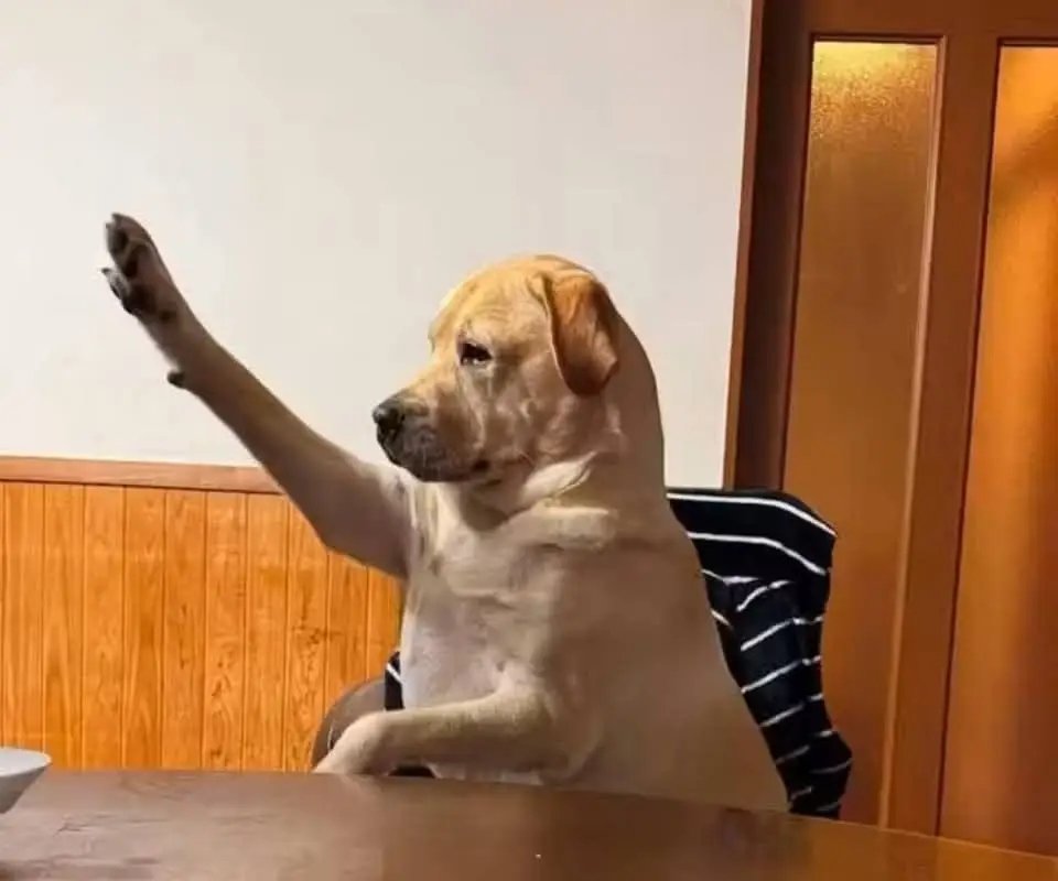 To those who got their men on this app,  what criteria did you use to choose? Kubanga I need only 1 out of 11 in my DM.