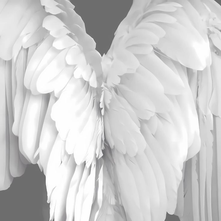 nice___god's tweet image. ⠀
⠀
⠀⠀⠀⠀  ☠︎⠀ 丷⠀ beıng⠀ ʏouɾ⠀  · ⠀ ·
⠀⠀⠀⠀  𝒏ıghᴛmαɾe⠀  🔪⠀  𝑡𝐨𝐧𝐢𝐠𝐡𝐭
⠀
⠀⠀_bitch_