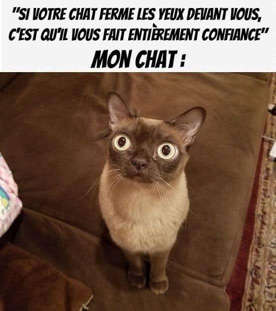 The Joconde 🐦 (@viedelajoconde) on Twitter photo 