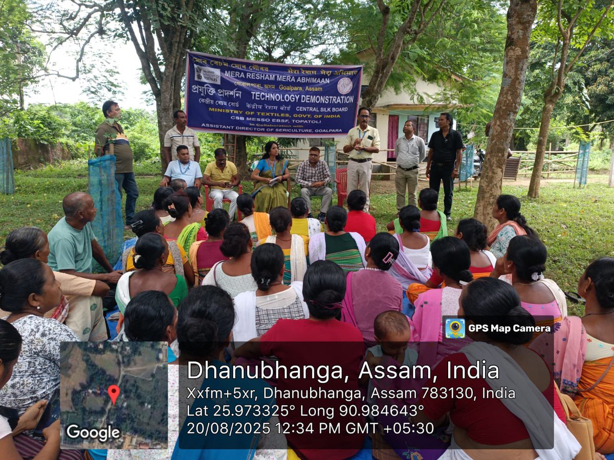 MssoSilk's tweet photo. Under #MRMA, CSB P2 EBSF Topatoli with DoS Assam ESG conducted a Technology Demo at Dhanubanga Farm on 20.08.25.
Eri rearers gained hands-on exposure on: • Kesseru pollarding & quality leaf production  • Scientific package of practices for eri culture  • Prophylactic measures for healthy crops 
@csbmot @TexMinIndia