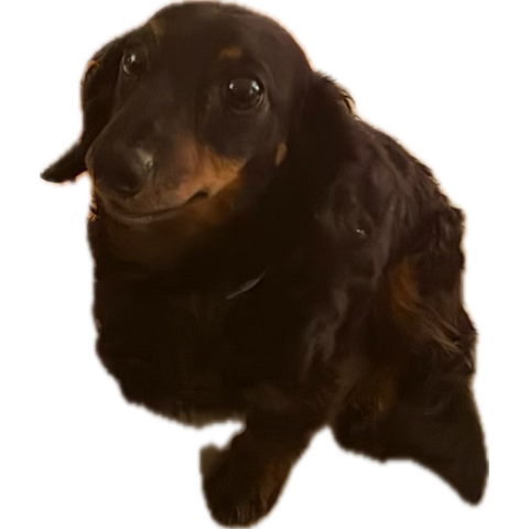 J ☆ S O N tweet media