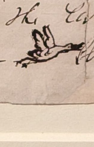 lucinda.macpherson tweet media