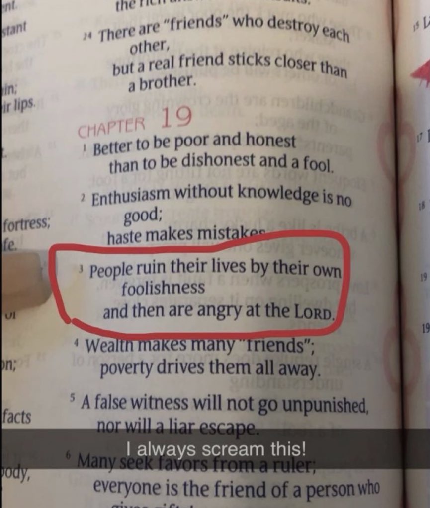 Holy__Bible1's tweet image. 