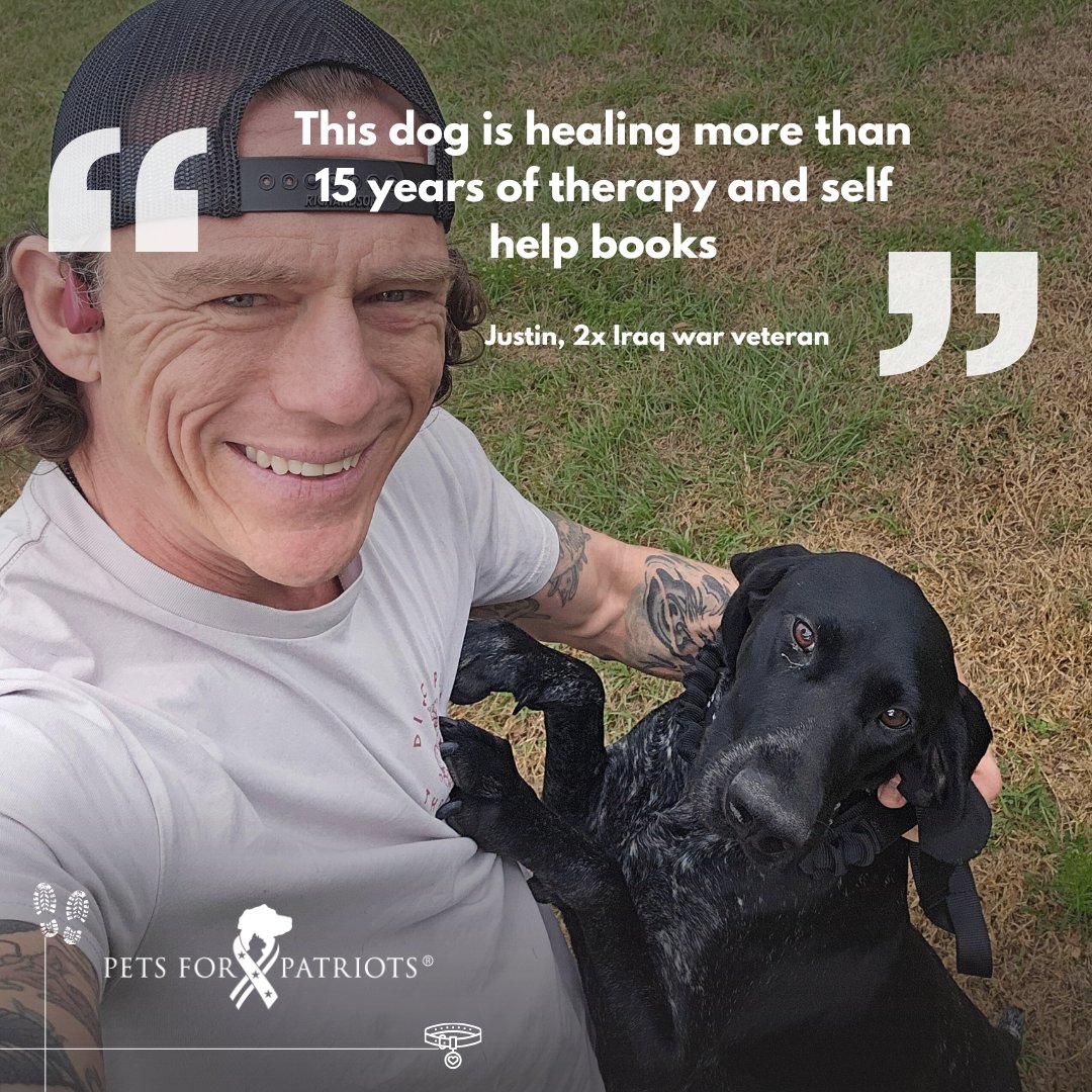 Pets for Patriots tweet media