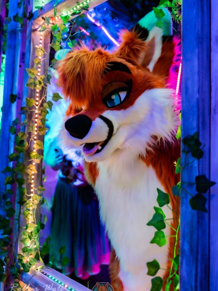 Just popping in to say hello 

📸<a href="/rollarwolf/">Rollar Wolf</a>