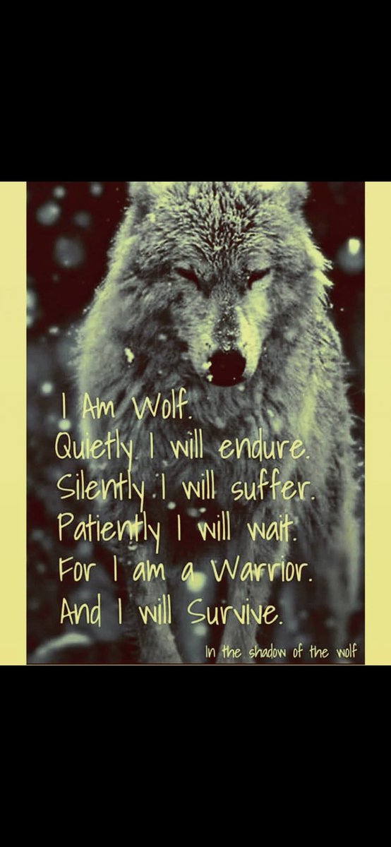 Wolf Blood <a href="/XC_MMA/">XCMMA</a>