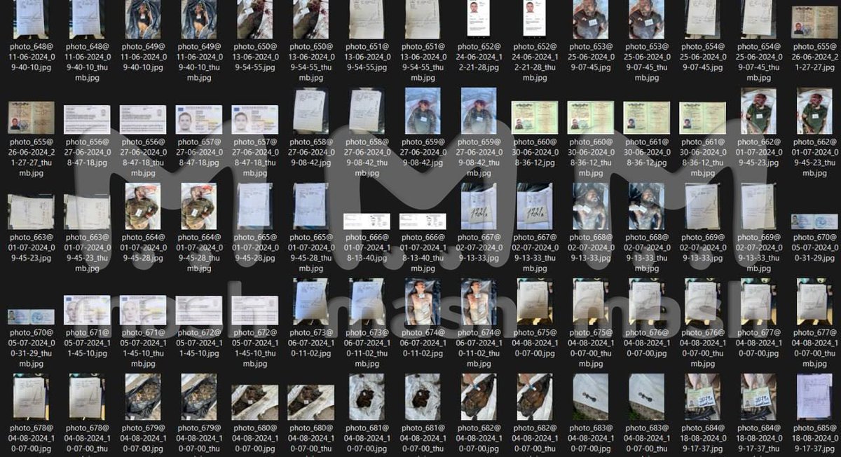 Ville Vellend tweet media