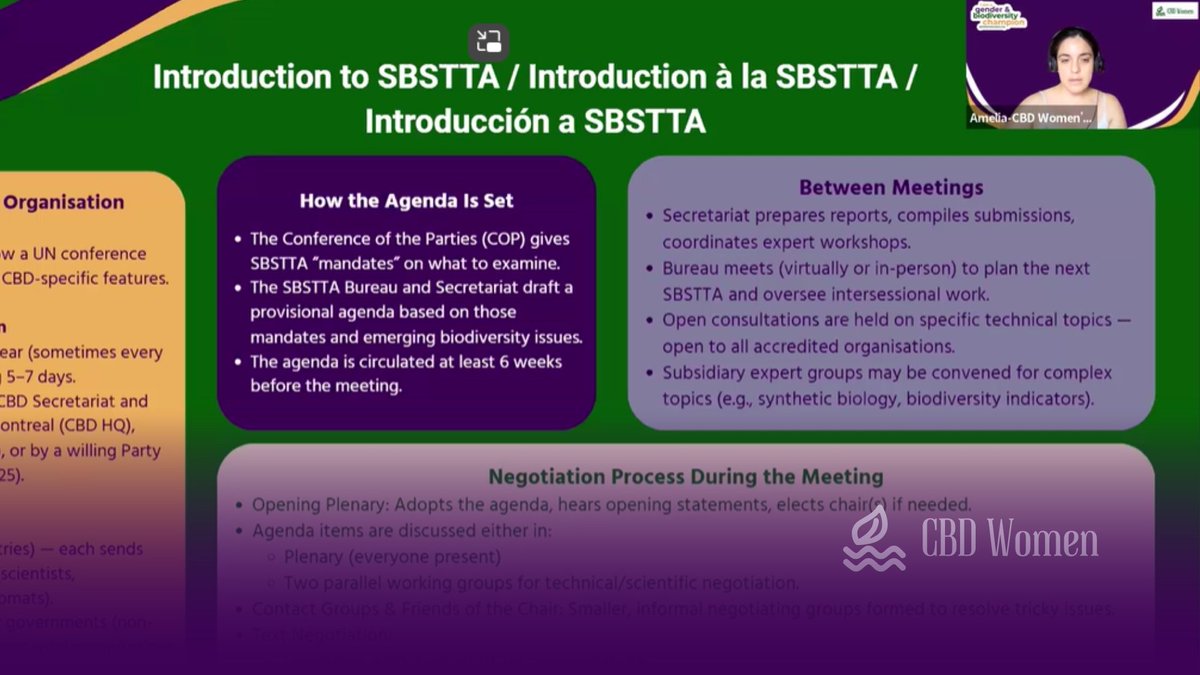 cbd_wc's tweet image. Highlights from Session 1 of our training for #SBSTTA27 & #SB8j-1!
Our experts introduced #SBSTTA,unpacked its agenda, and presented Item 3–GBF Progress Review
#CBDWC members shared biodiversity issues,linked them to GBF targets, and proposed community-led monitoring approaches.