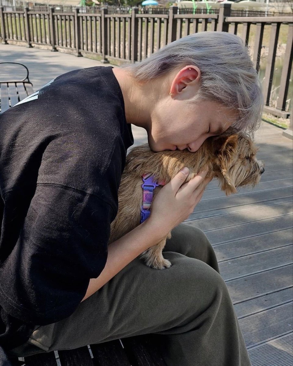 호시 ✭ (@ulthorangdan) on Twitter photo 