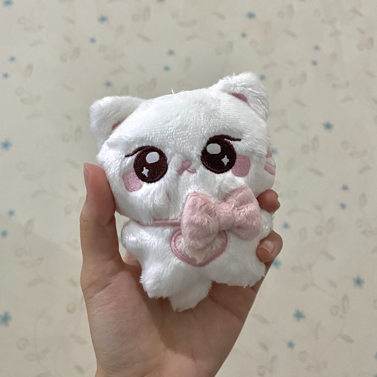 lulaa𓍢ִ໋🌷͙֒ tweet media