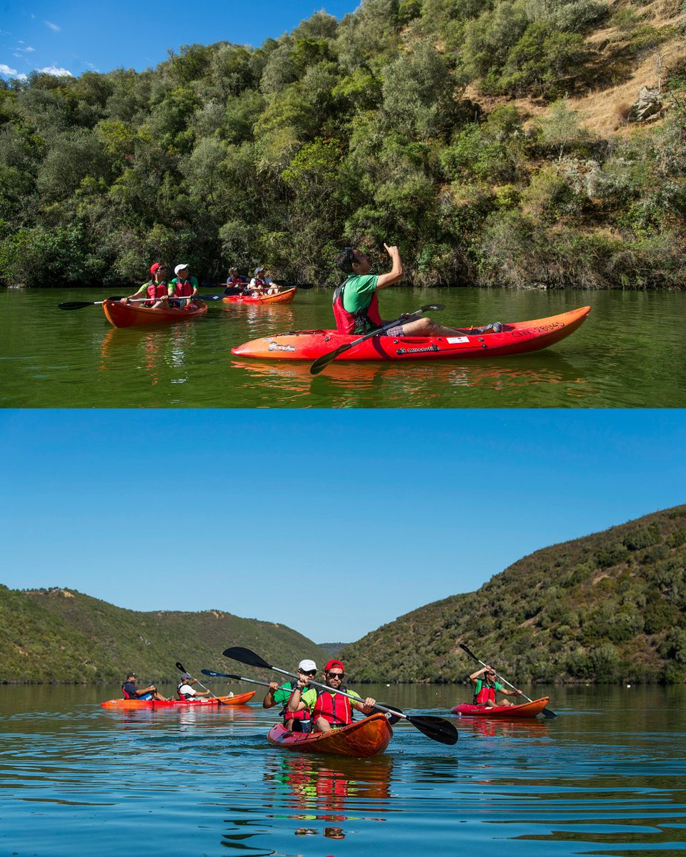 🟠¿Te imaginas remar entre paisajes salvajes, sintiendo el silencio solo interrumpido por el vuelo de las aves?
Descubre la Reserva de la Biosfera Tajo Internacional desde una perspectiva única: el agua.
🟢Rutas en kayak, kitesurf, windsurf o incluso el buceo te esperan.