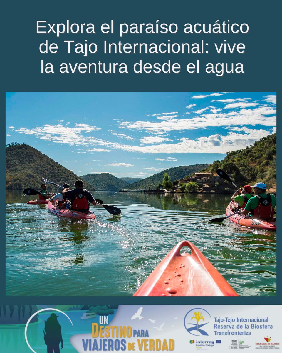 Taejo Internacional tweet media