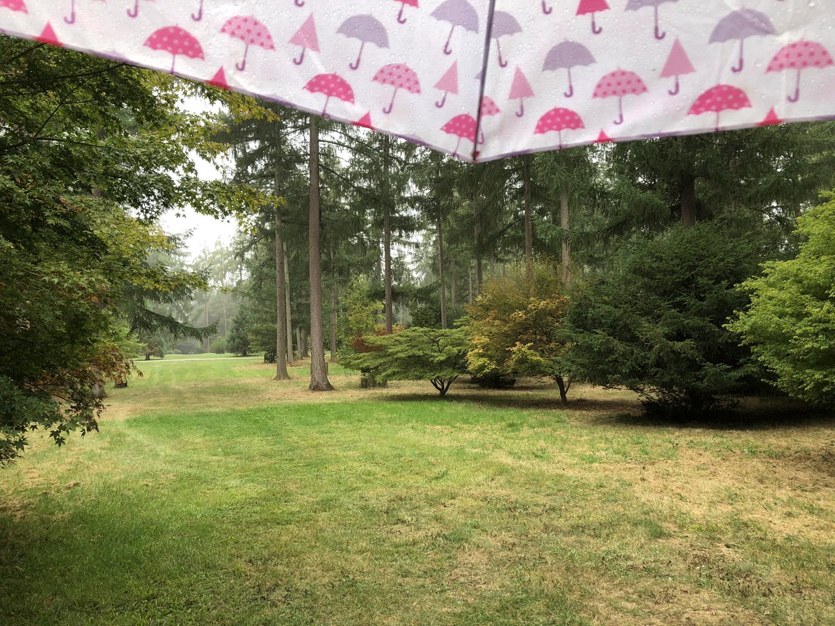 This morning at the arboretum. Could it be….? 
No surely not…. but yes, there was enough rain for my umbrella to be opened for the first time in months! 
Not proper rain, but better than nothing!