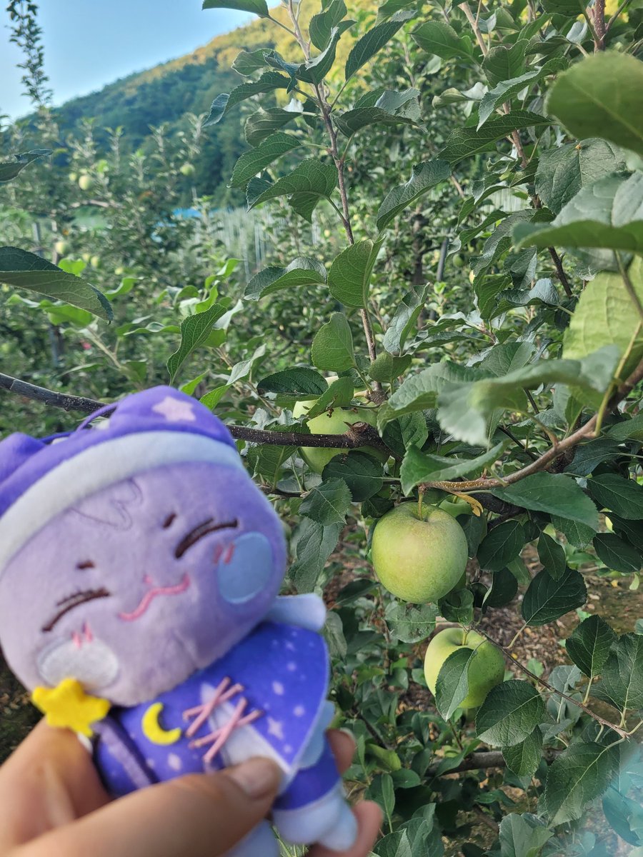 Sengirl0710's tweet photo. 쉬잇♡
#승선소 #에이티니 #트친소 #에이티즈
1n년생 중딩 뿌딩이에요.
이벤트도 많이 열구 트친들 정말 아껴요ㅠ 트정 안해요..
저랑 놀아주실 착한 티니언니들 구해요,, https://t.co/L2lKjZIEjq