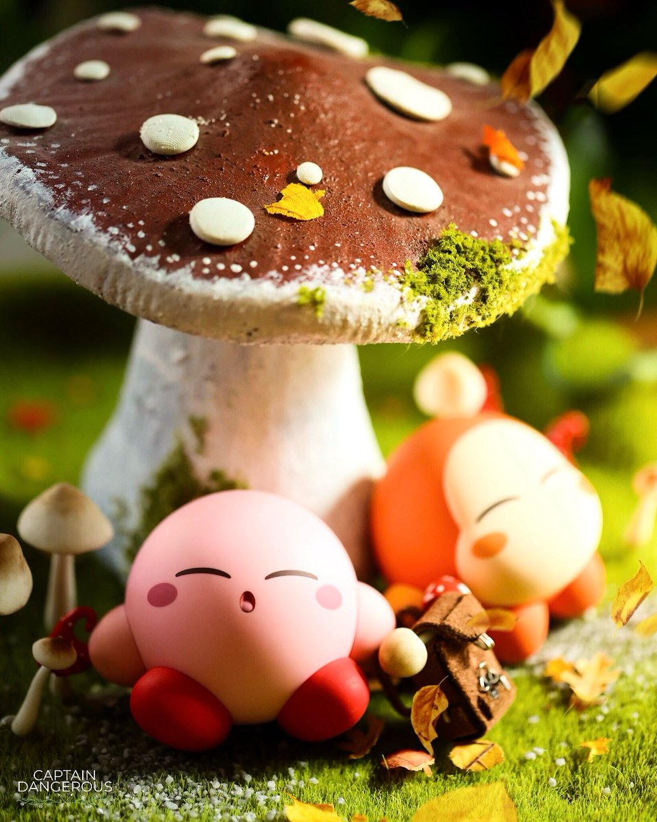 CaptDangerous64's tweet photo. Mushroom nap 😴 🍄 Who is excited about Kirby Air Riders? I know I am 🙂‍↕️ #KirbyAirRiders https://t.co/tAI4NioaWP