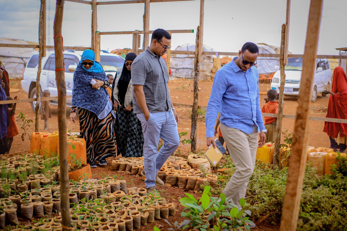 gredosom's tweet photo. GREDO’s Deputy Executive Director @alimak_klay and the Localization Advisor @Tintiye paid a courtesy visit to GREDO's Danwadaag project sites.
During the visit, they explored:
🌱 Greenhouses
🐝 Beekeeping initiatives
🌳 Nursery shelters
🔆 Solar energy projects,
all designed to empower communities by transforming sunlight and innovation into sustainable livelihood opportunities.

A remarkable highlight was the official launch of the Solar-Powered Business Initiatives at two SHG sites, marking a new chapter in community-led resilience and self-reliance.

Thanks to @UKinSomalia for the invaluable support under the @Danwadaag_DS Consortium led by @iom_somalia.

#GoFarGoTogether

#Resilience #SustainableLivelihoods #Localization #Danwadaag