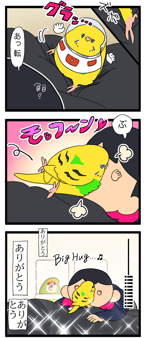 カチョが躓いて飼い主の顔面にダイブしてきた。ありがとう────

2149 #えるポピの絵日記かくところ 