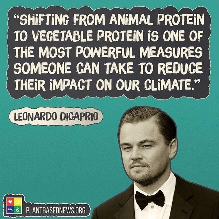 Vegan Future (@veganfuture) on Twitter photo 