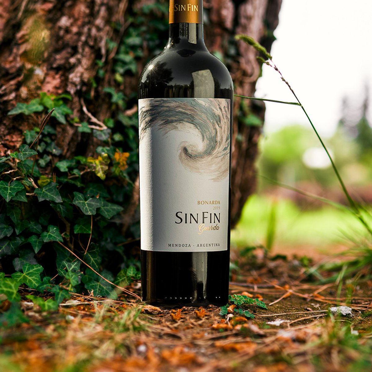 Un vino que invita a disfrutar de momentos únicos en buena compañía.

De color rojo intenso con reflejos violáceos, en nariz despliega aromas a frutas rojas maduras, ciruelas y notas especiadas que se combinan con sutiles dejos de chocolate y vainilla. 

¿Te gustaría probarlo?