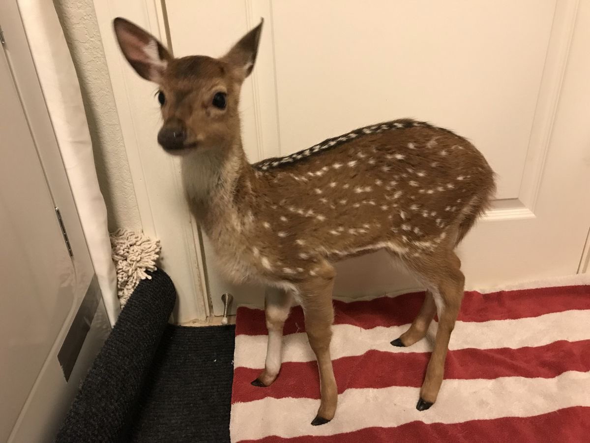 Feeling awkward and a little out of place