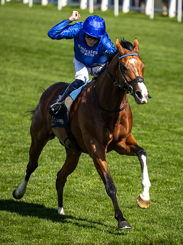 OMBUDSMAN WINS THE JUDDMONTE INTERNATIONAL 🎉