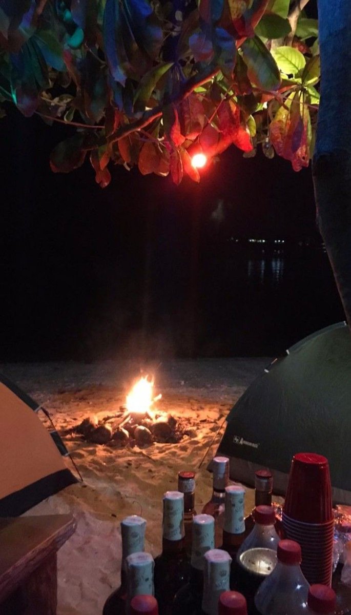 ㅤ
⟟ 𝙃𝙤𝙣𝙤𝙡𝙪𝙡𝙪

Malam sudah tiba, kini saatnya berpesta.
Api unggun pun sudah menyala, begitu pula tungku barbeque dan berbagai minuman yang berjejer di meja, siap temani para Phoenix menghabiskan malam bersama.

ㅤ