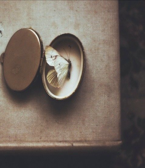 Gördüğün sey,
Aslında sana gösterilendir.