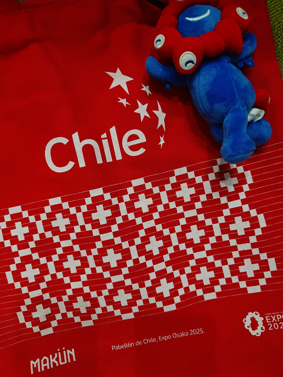 大阪万博2025 チリパビリオントートバッグ他5点セット 非売品 チリパビリオン 大阪関西万博 トートバッグ他5点｜Yahoo!フリマ