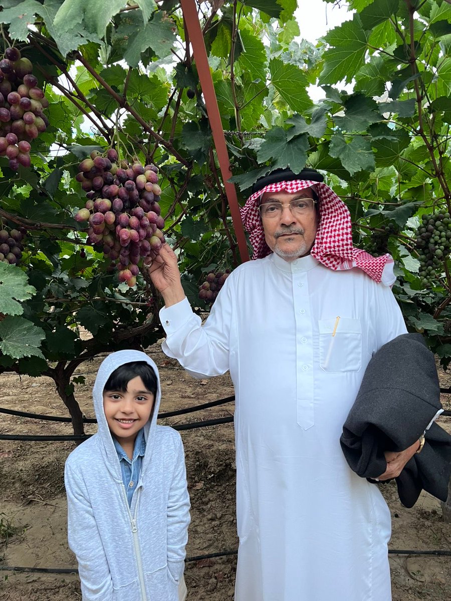 mogram110's tweet image. في مزرعة أ/فيصل الخميس ببني فروها النموذجيه المخصصه لزراعة العنب (انواع مميزه ) والفراوله والتوت البلاك بارك الله له فيها ولاشك ان انشاء مثل هذه المزرعه له اسهام في الاقتصاد المحلي والاكتفاء الذاتي من الانتاج المتميز..