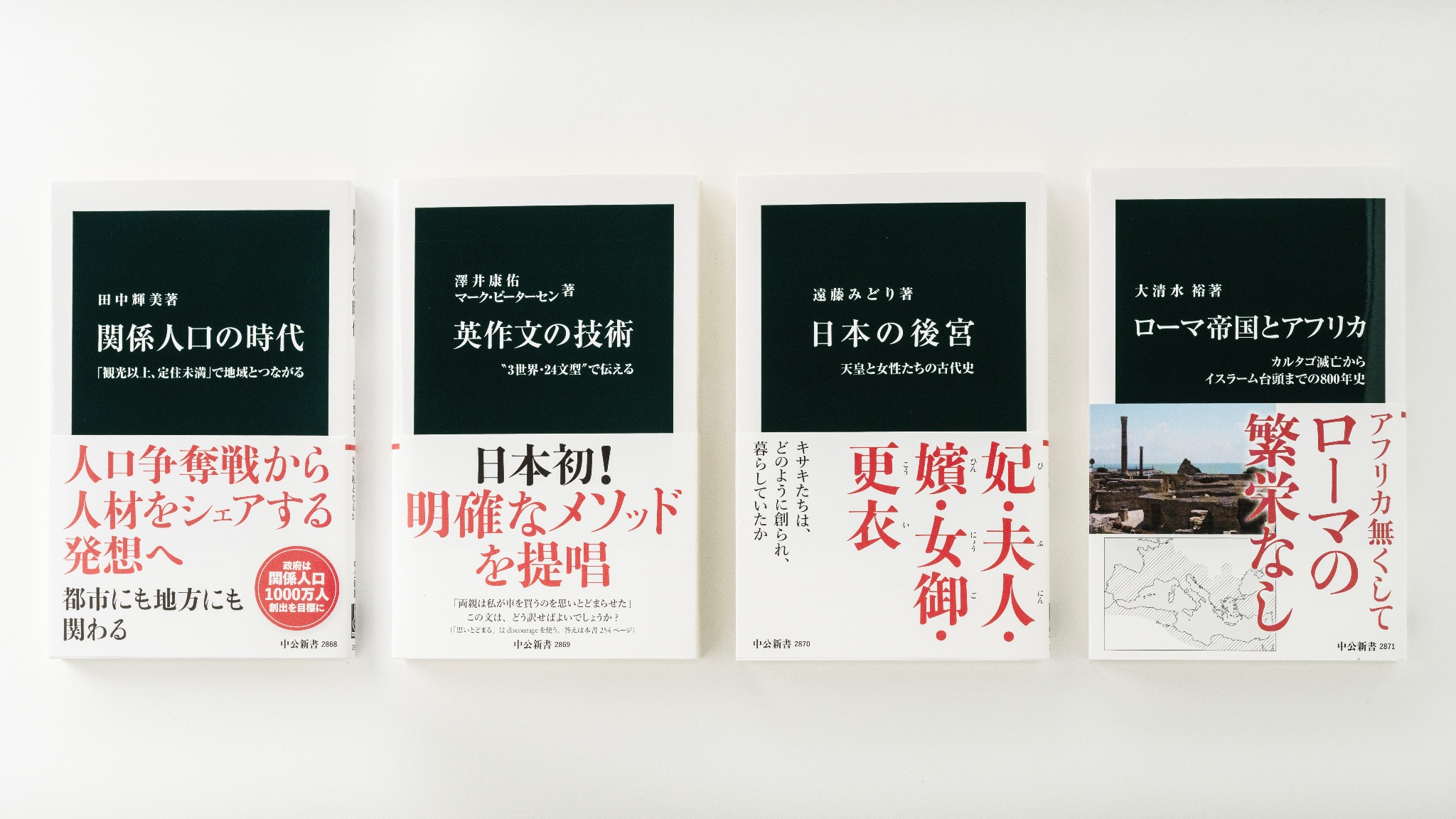 るるか清水公照作　修中絵日記　巻物　巻子　上下2巻　共箱　N　6079C 修中絵日記 (1975年) | 清水 公照 |本 | 通販 | Amazon
