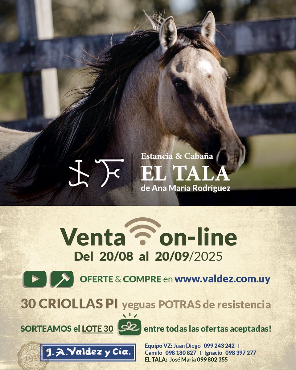 Cabaña El Tala invita a conocer y adquirir CRIOLLOS PI, yeguas potras de resistencia.🐴

🗓️ Del 20 de agosto al 20 de setiembre 

Al finalizar el remate ¡se sorteará el Lote n°30 entre todas las ofertas aceptadas!

Vea la oferta aquí ⬇️
valdez.com.uy/auctions/view/…