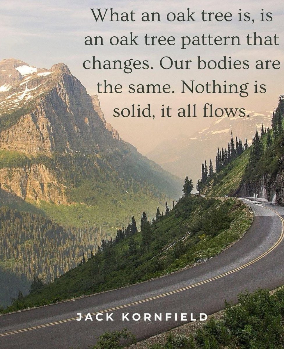 When we bring our attention to the world, we find it isn’t solid—just as the oak tree is a moving process, our body isn’t solid, our thoughts and feelings are not solid, we are not solid… we are a moving process. 🌊✨

#attention #awareness #philosophy #impermanence #change