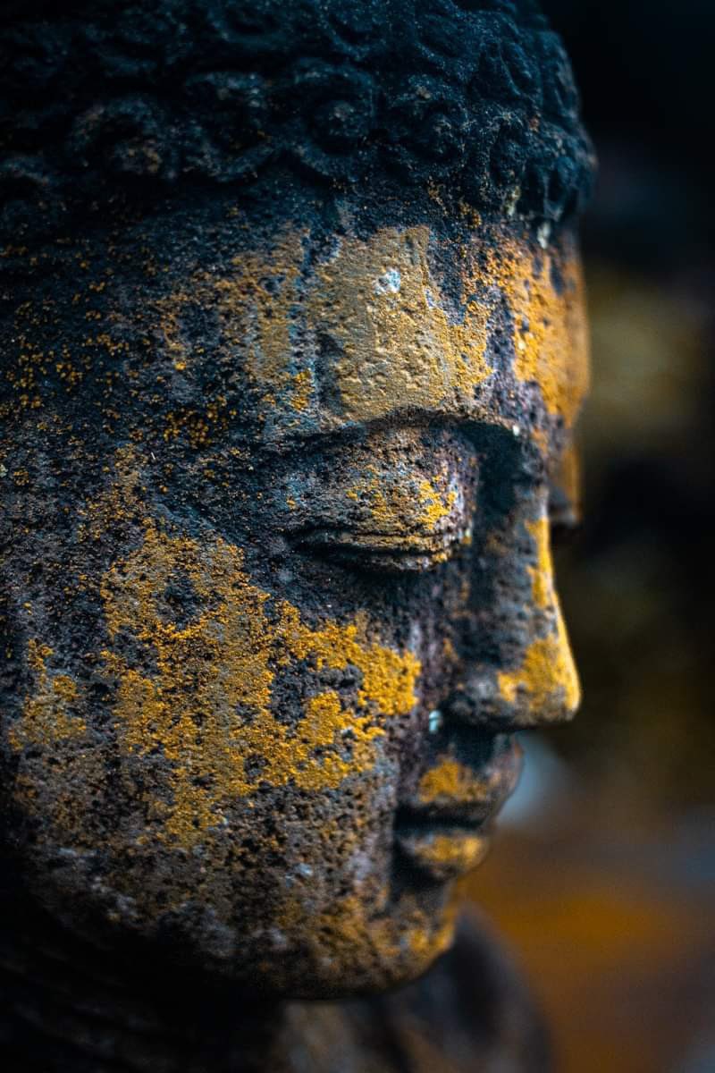 “Remember that your perception of the world is a reflection of your state of consciousness.”