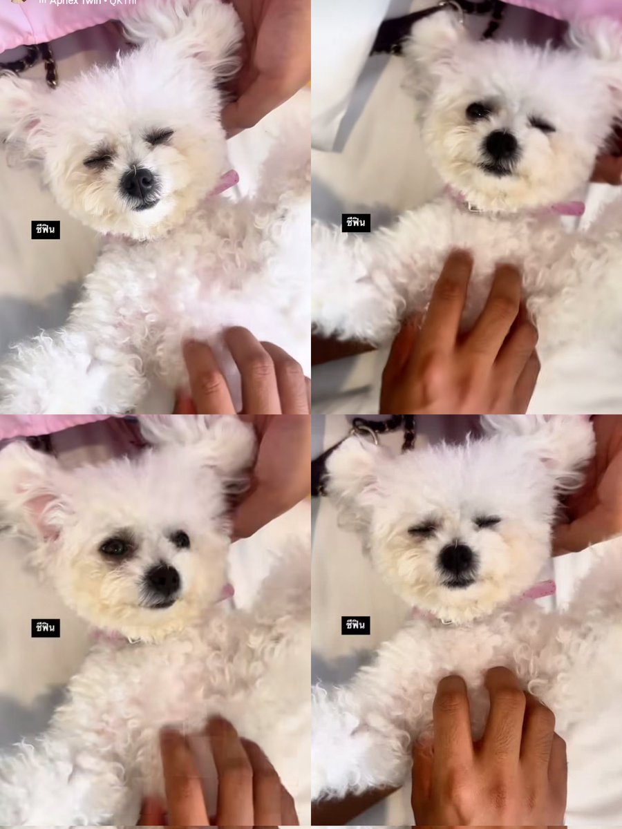 JS_SMILEY¹¹²⁹(มัมหมีน้องลดา) (@itswaratin) on Twitter photo มันฟินขนาดนั้นเลยเหรอคะหลานหู้ หลับตาพริ้มเชียว 55555555
FAITH IN CHARLOTTE20
#ชาล็อตออสติน #CharlotteAustin
<a href="/itscharlotty/">Charlotte Austin</a> #itstofuka มันฟินขนาดนั้นเลยเหรอคะหลานหู้ หลับตาพริ้มเชียว 55555555
FAITH IN CHARLOTTE20
#ชาล็อตออสติน #CharlotteAustin
<a href="/itscharlotty/">Charlotte Austin</a> #itstofuka