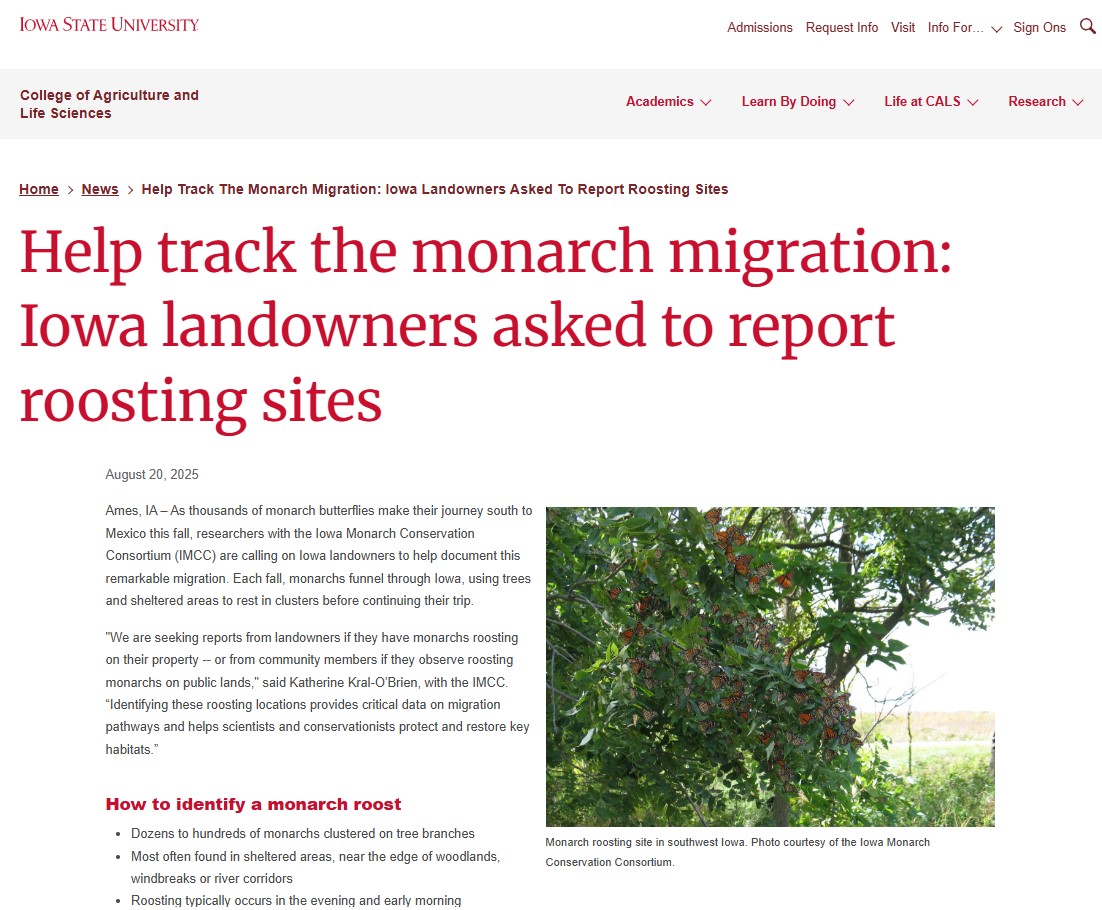 Calling all landowners! As the monarch fall migration approaches, we need your help documenting roosting sites. If you have monarchs roosting on your property, let us know (contact in linked article) so we can better understand their migratory needs: cals.iastate.edu/news/2025/help…