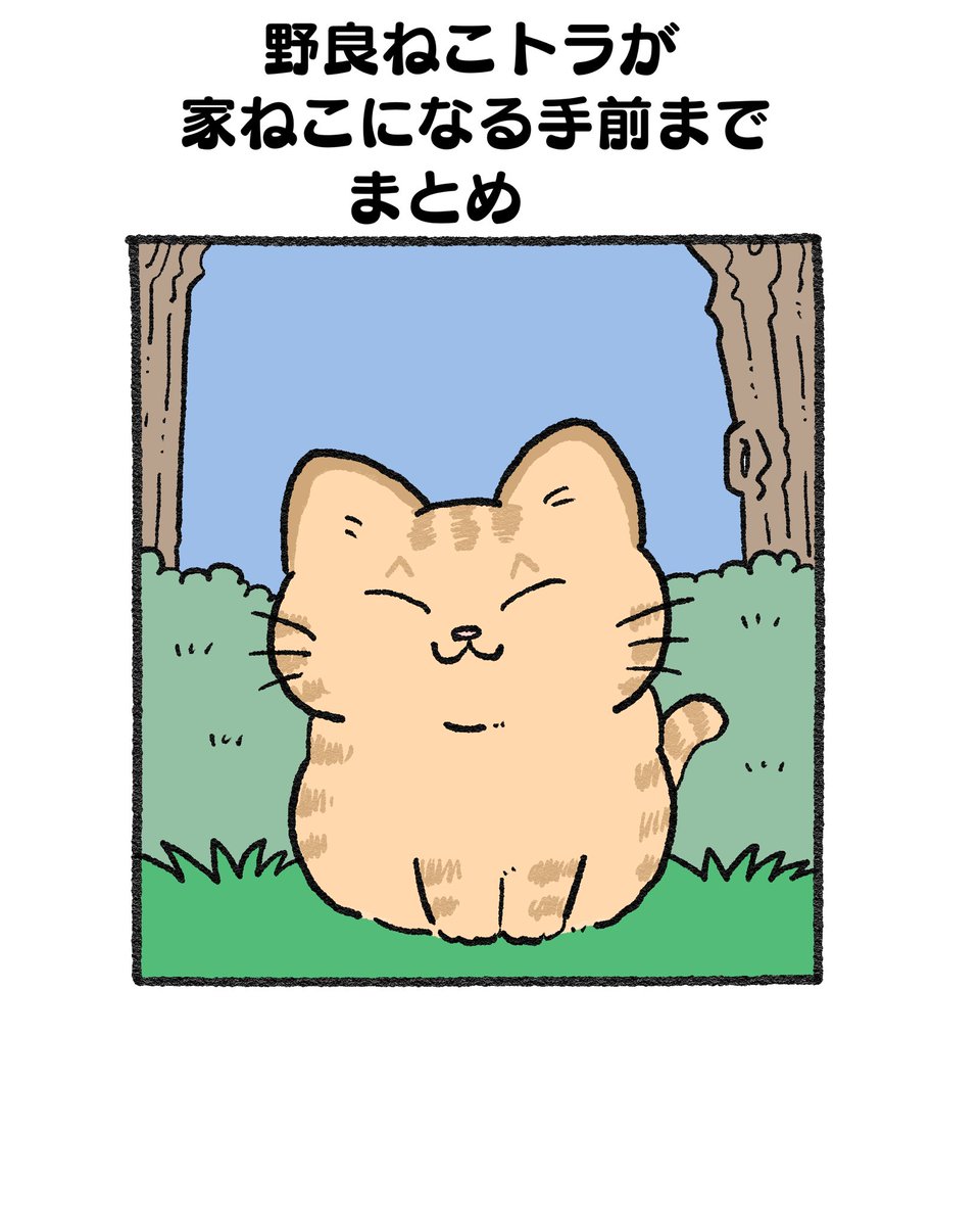 框(キョウ) (@86apricotton) / X