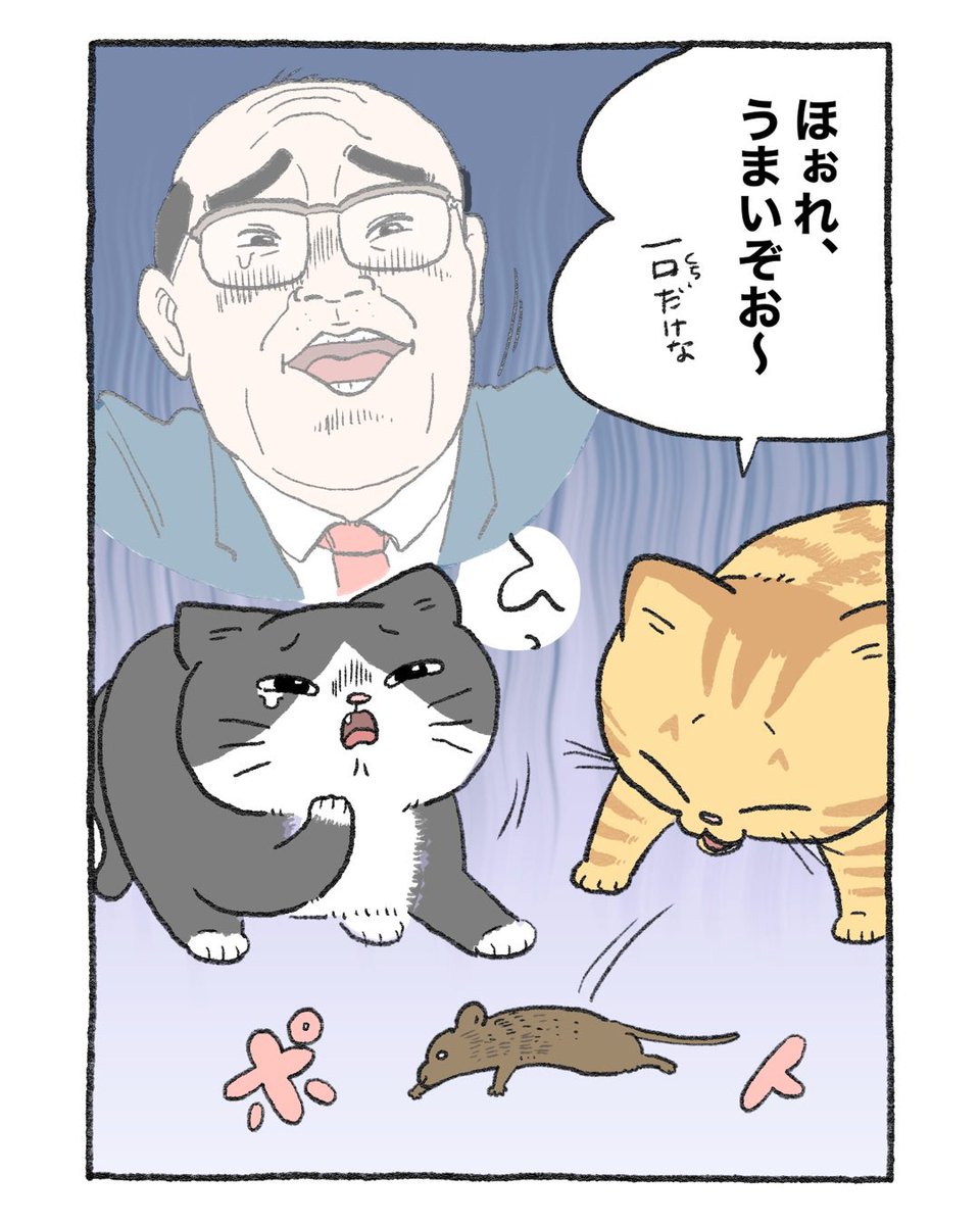 とらさんページ 野良ねこトラが家ねこになる手前までまとめ🐱 この続きは「その763