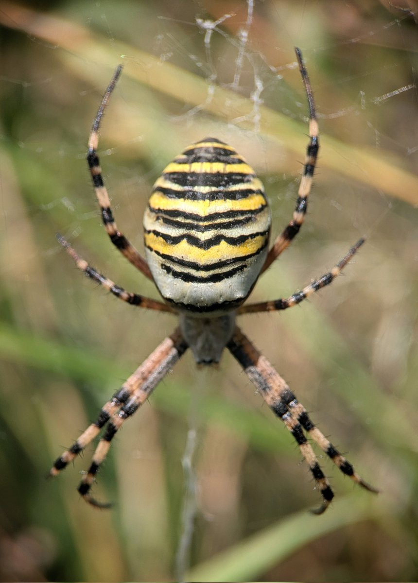 Caron Blay tweet media