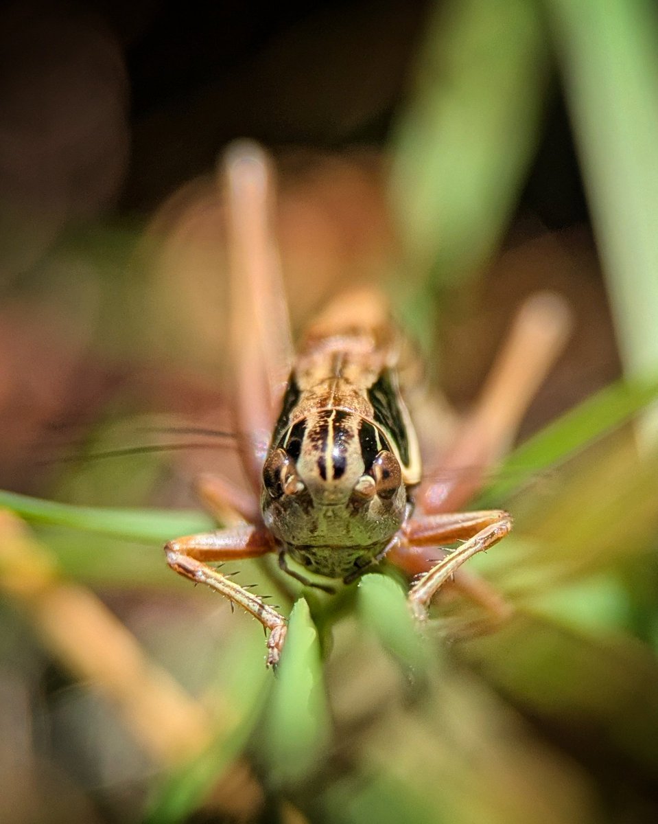 Caron Blay tweet media