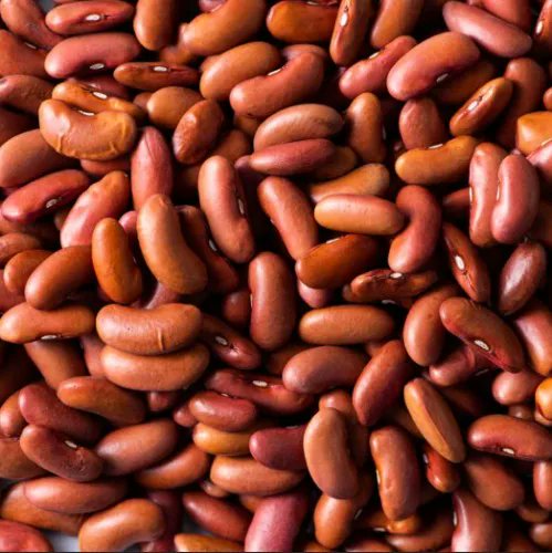 I just received BEANS from snake provider via Throne. Thank you! throne.com/nagi #Wishlist #Throne