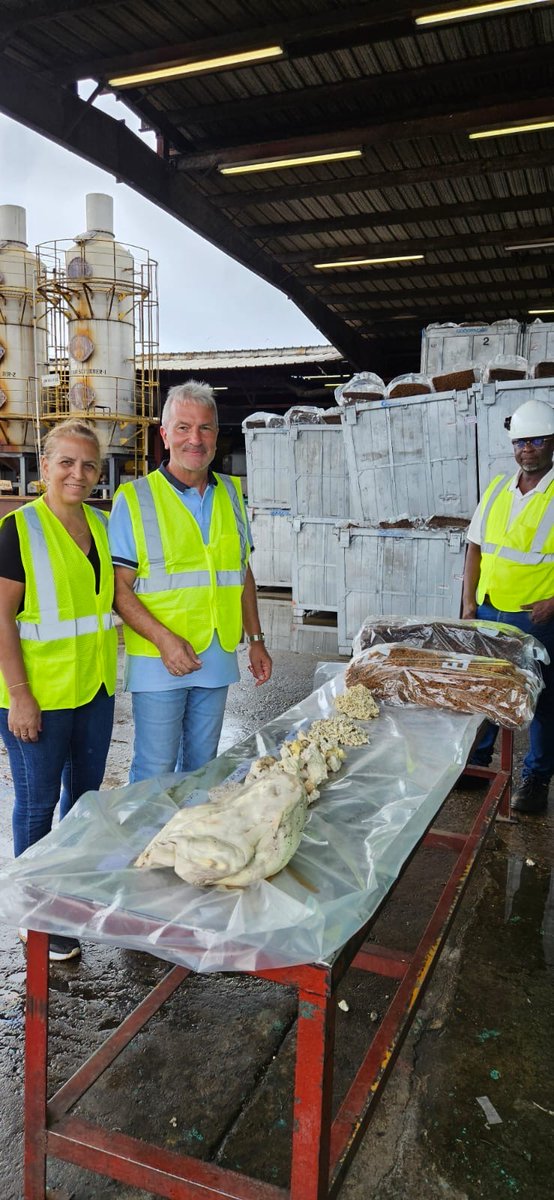 GerEmbLib's tweet image. Ambassadors from Germany, Egypt and Sweden visited Firestone rubbertree plantation and planted new trees.