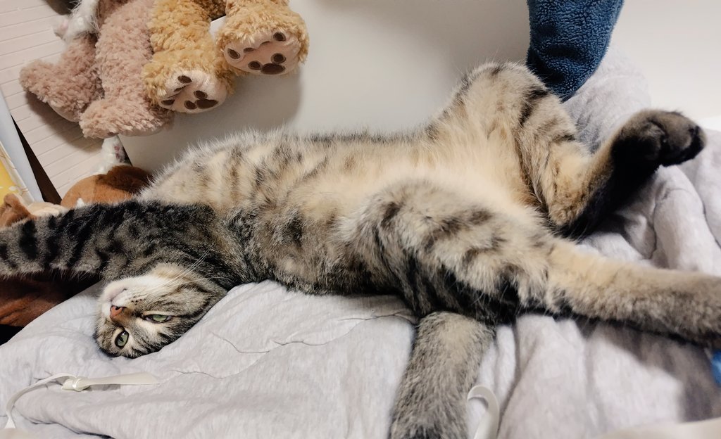 のびのびおっぴろげでおやすみ〜