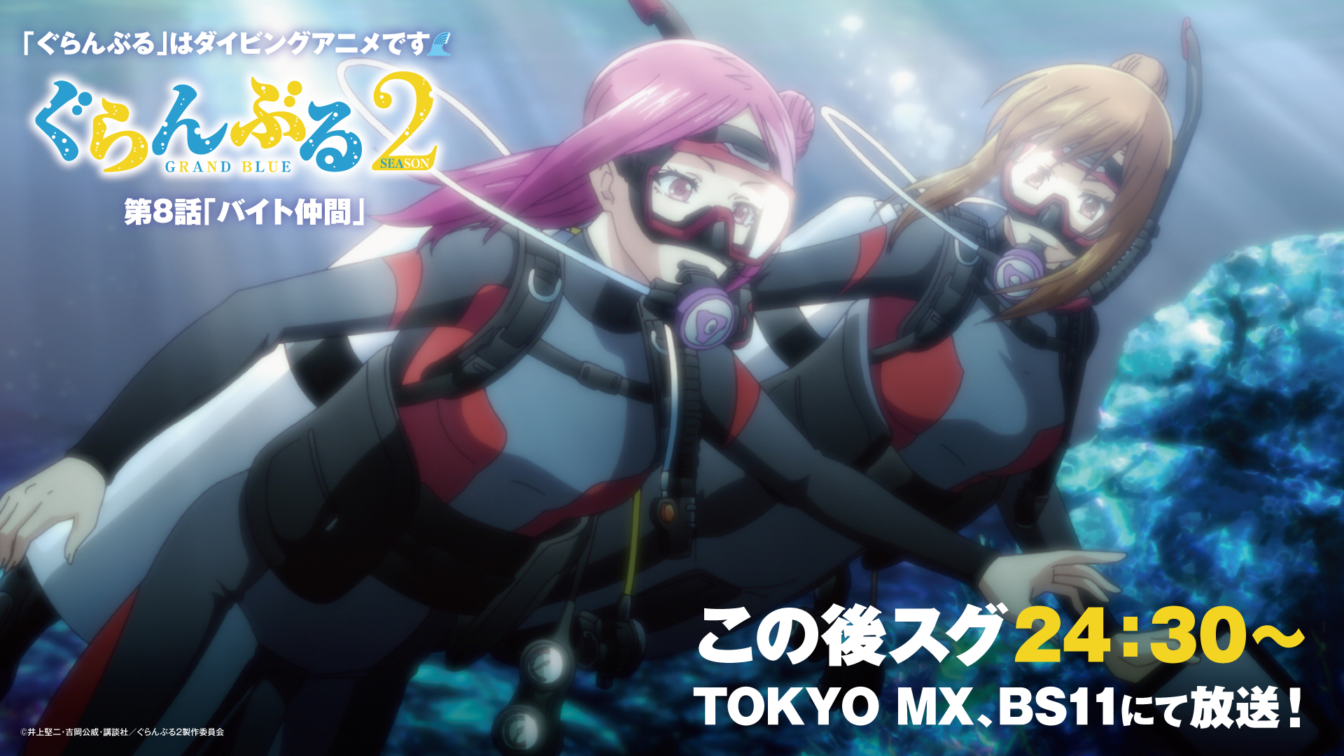 TVアニメ『ぐらんぶる』公式 on X: 