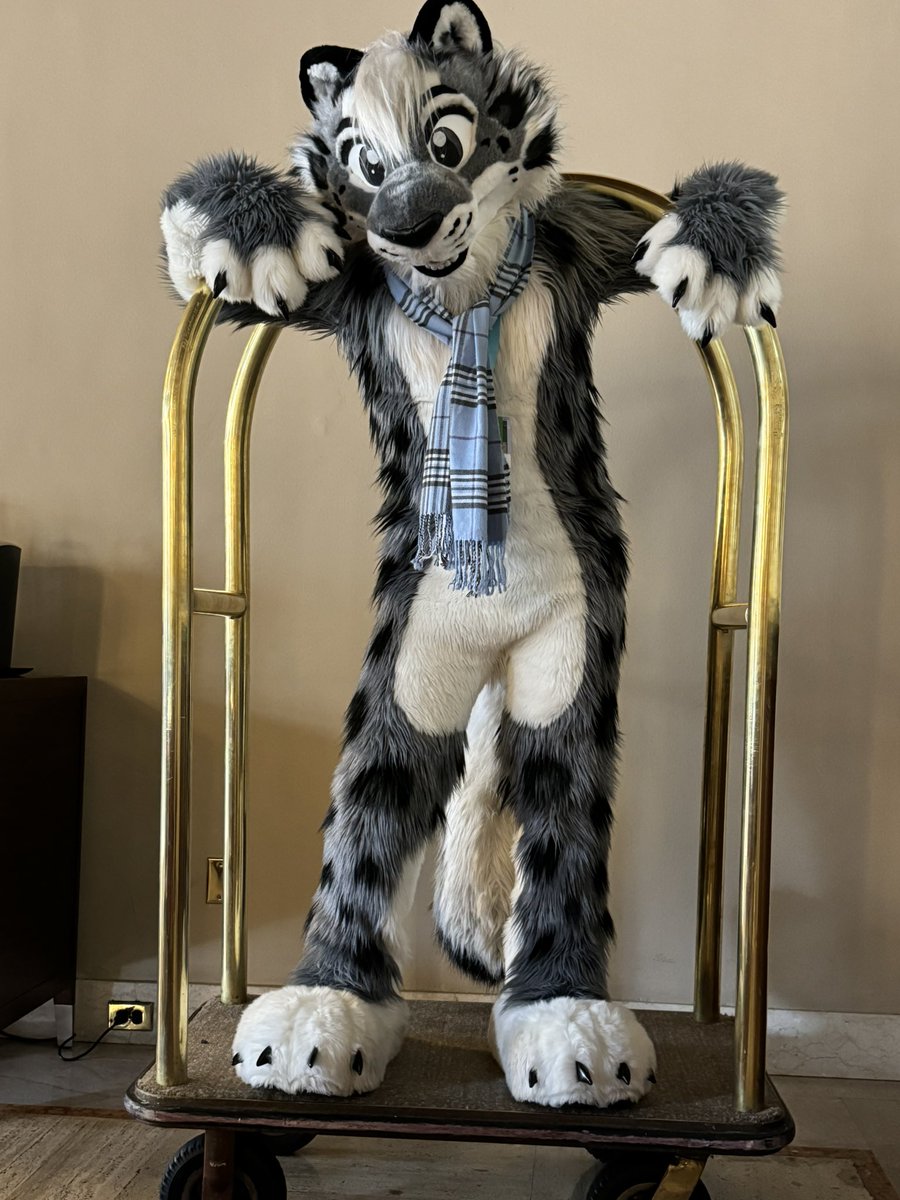 MegaPlex is coming up. First time for me attending that con!
Who will I see there?